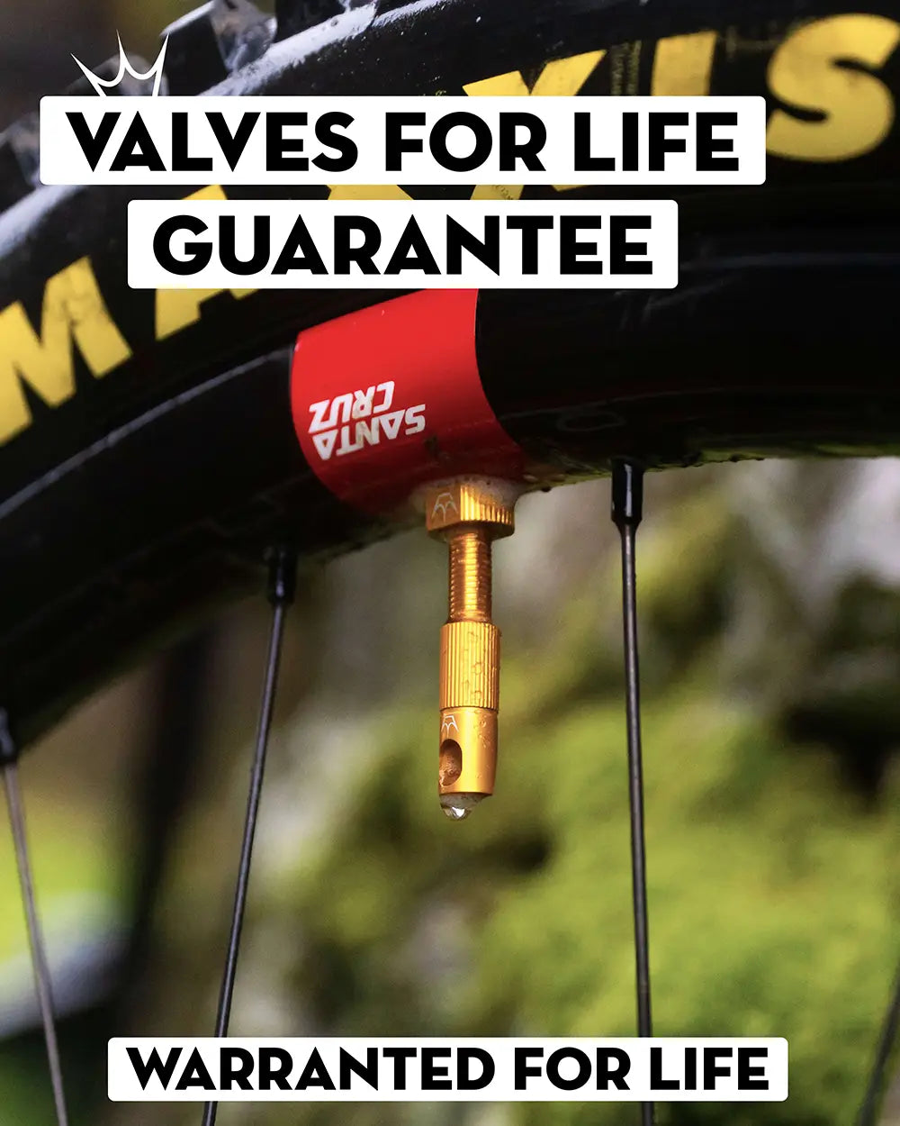 Peaty's Mk2 Tubeless Valves have a valves for life guarantee